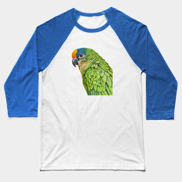 Amazon Parrot bird painting (no background) Baseball T-Shirt by EmilyBickell